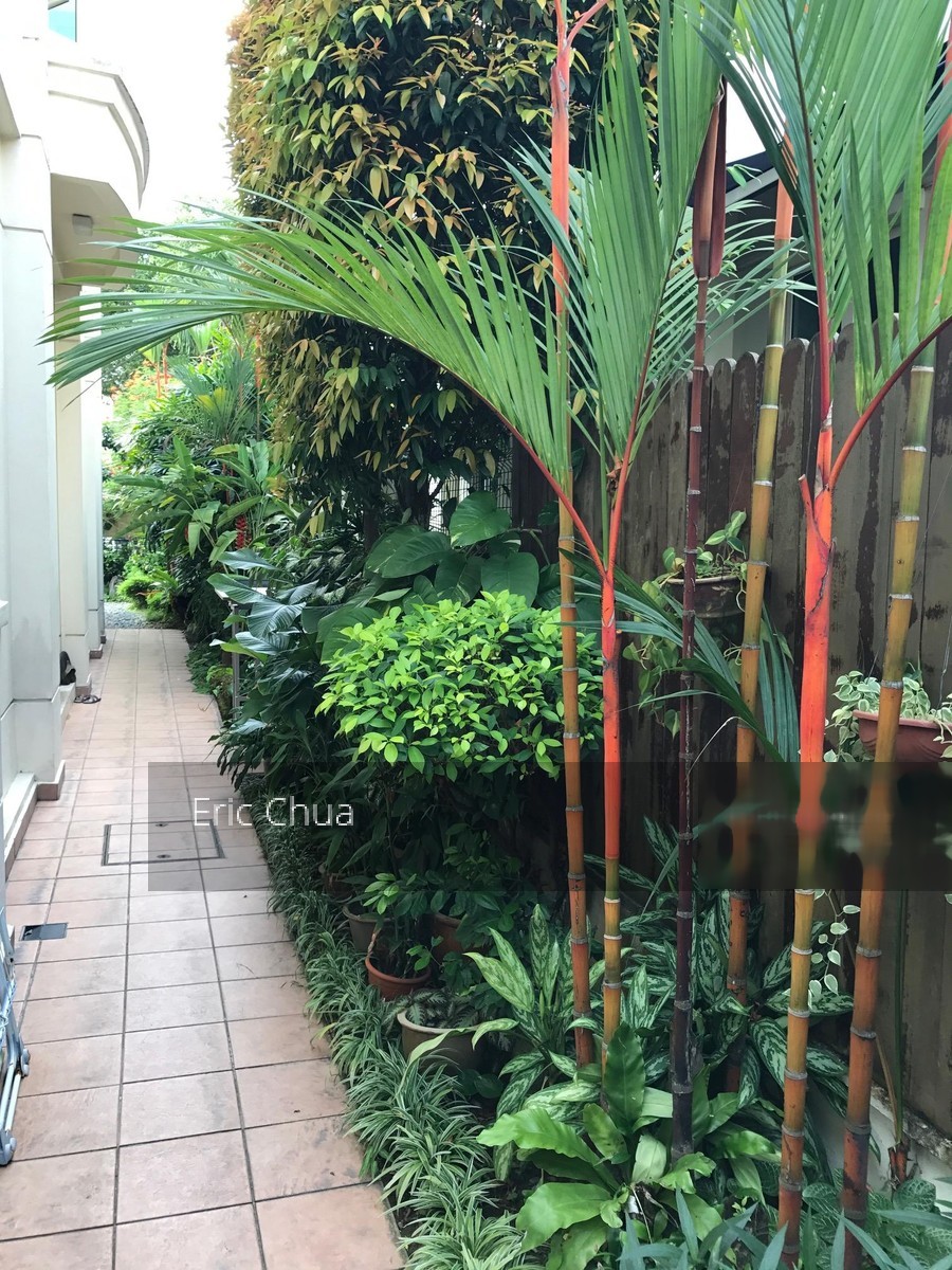 Kingsville (D10), Semi-Detached #138345322